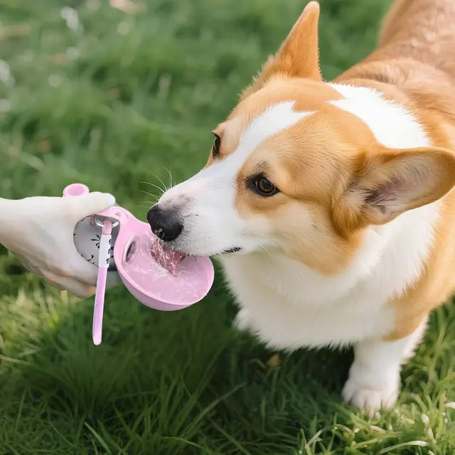 NeatPaws Portable Pet Water Bottle with Built-In Bowl for Travel