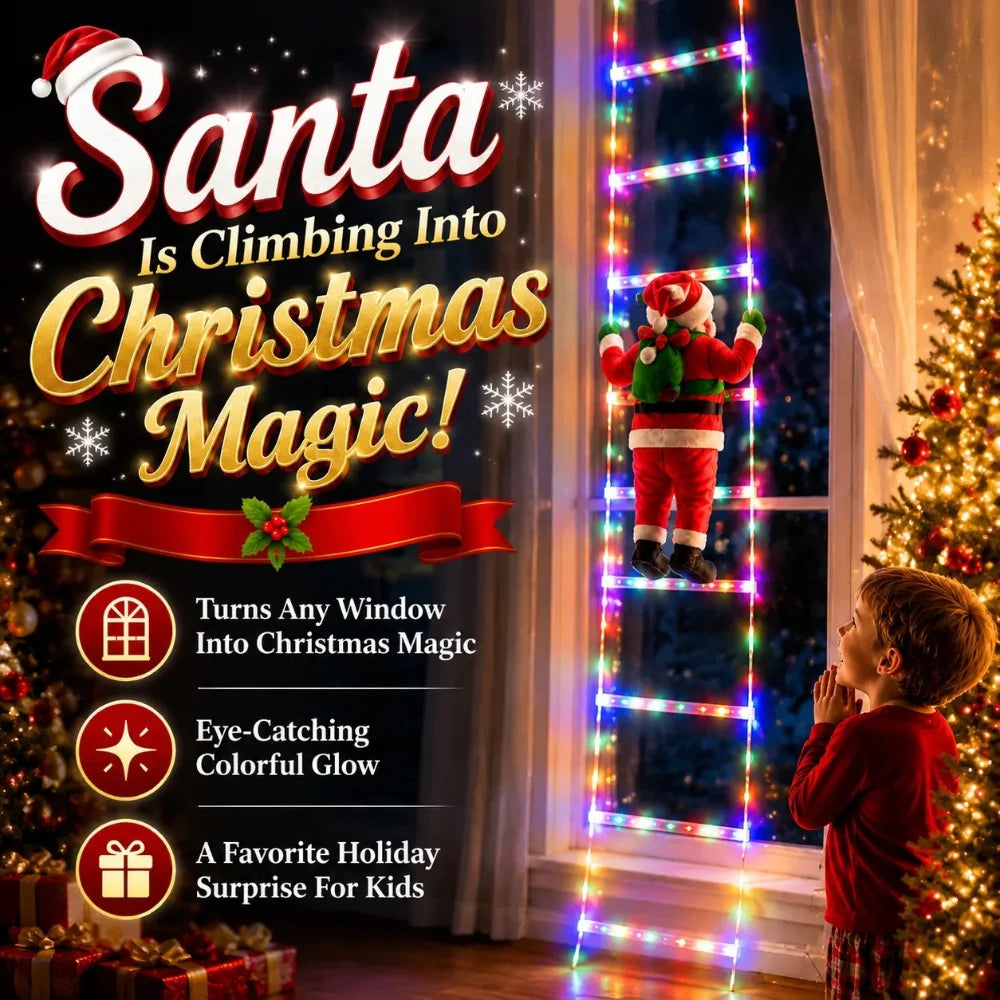 NeatPaws Santa Claus Climbing Ladder Christmas LED Lights