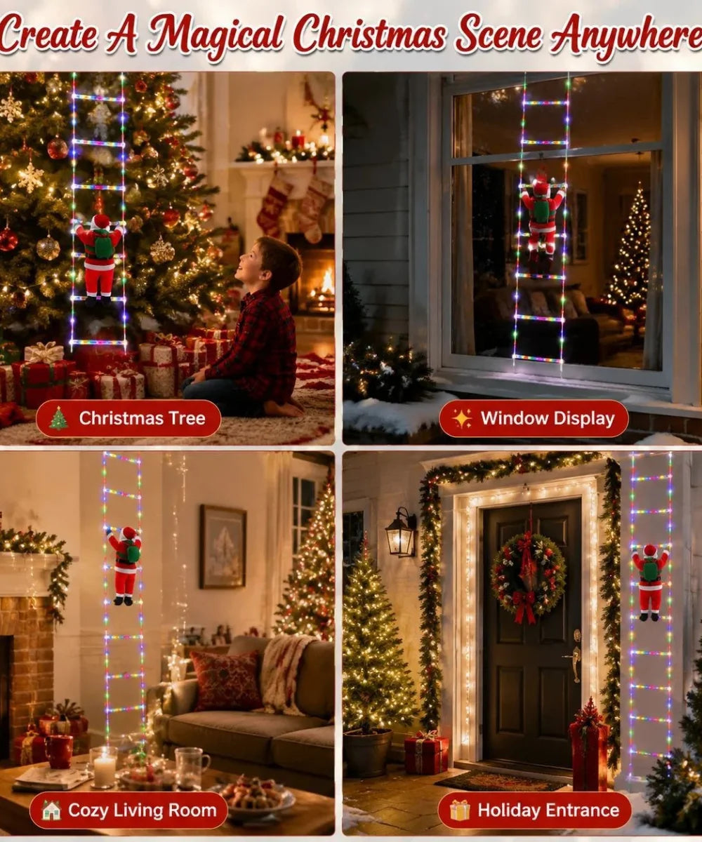 NeatPaws Santa Claus Climbing Ladder Christmas LED Lights