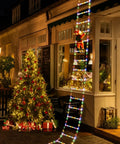 NeatPaws Santa Claus Climbing Ladder Christmas LED Lights