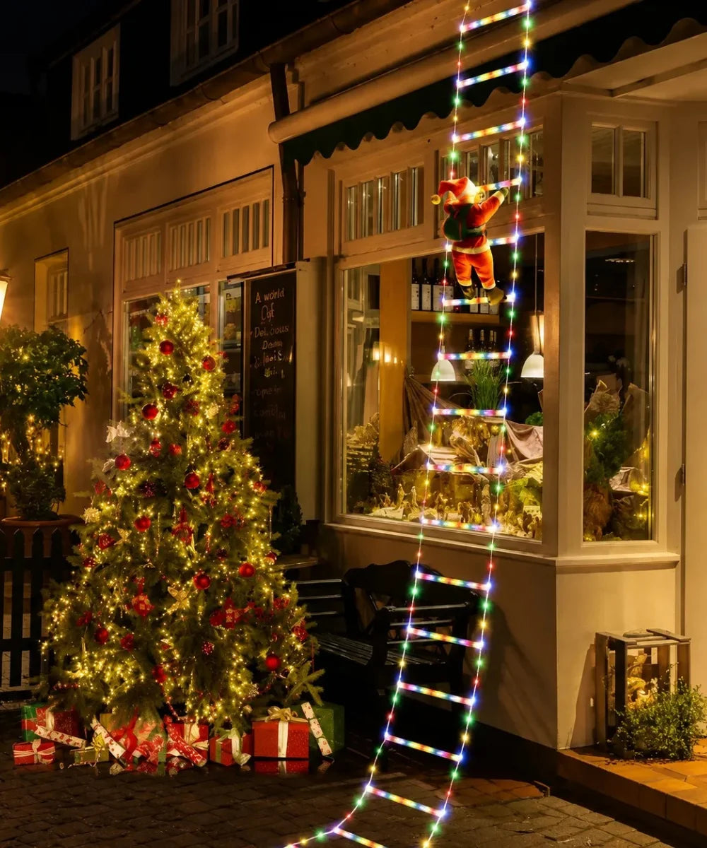NeatPaws Santa Claus Climbing Ladder Christmas LED Lights