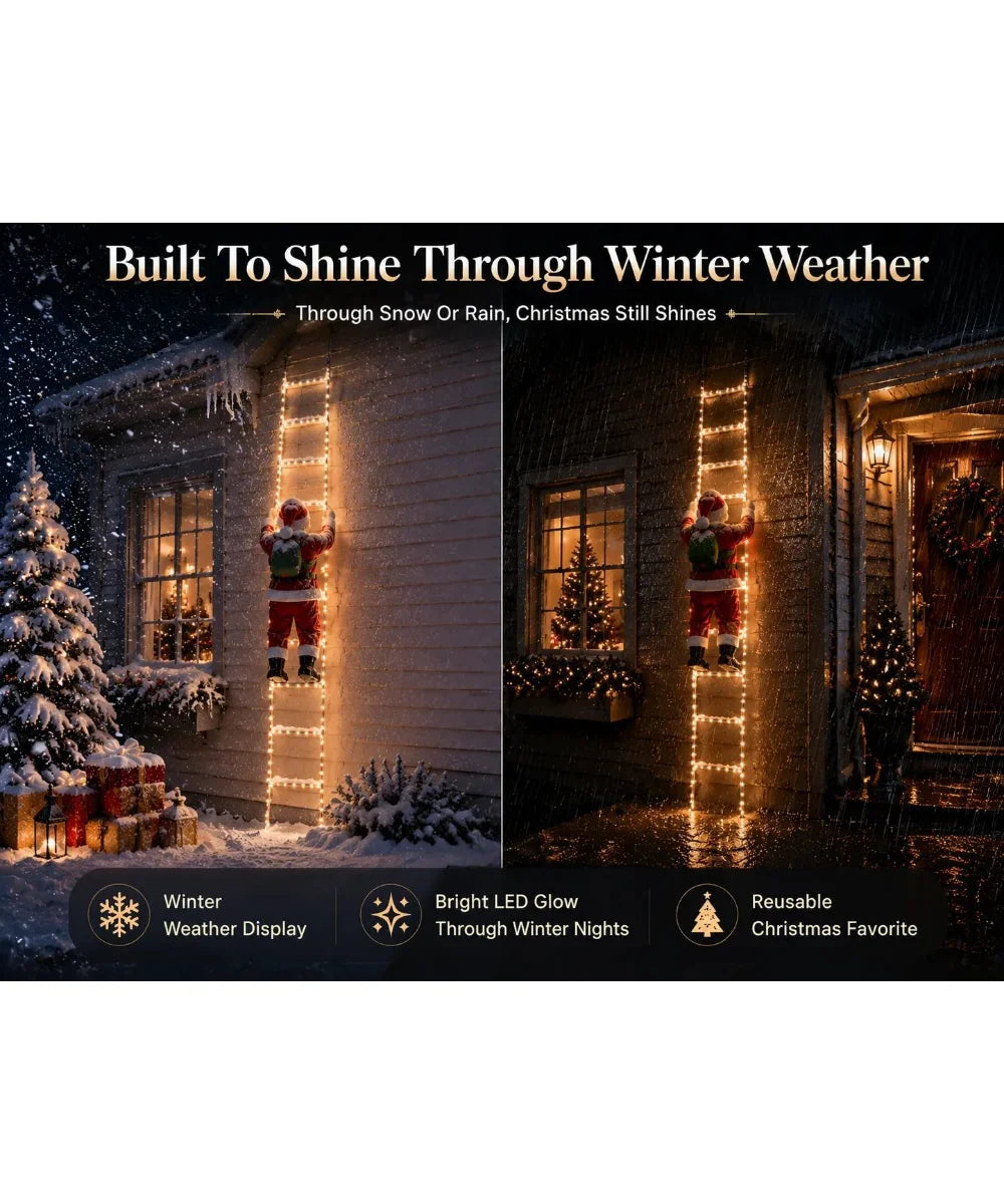 NeatPaws Santa Claus Climbing Ladder Christmas LED Lights