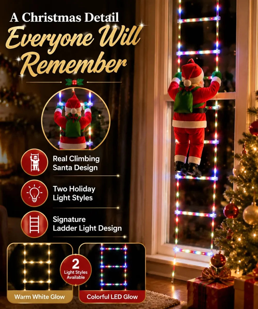 NeatPaws Santa Claus Climbing Ladder Christmas LED Lights