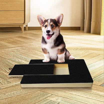NeatPaws Wooden Dog Nail Scratch Board with Built-In Treat Box